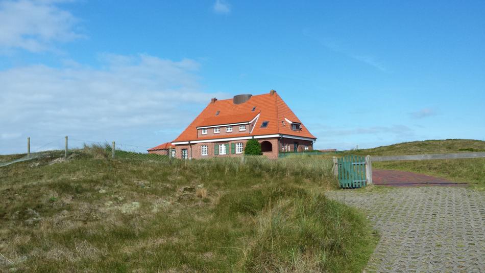Grass House Nature