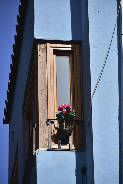 Architecture Outdoors Window