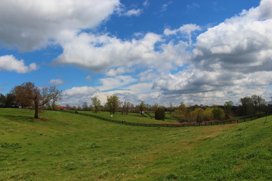 Meadow Sky Clouds