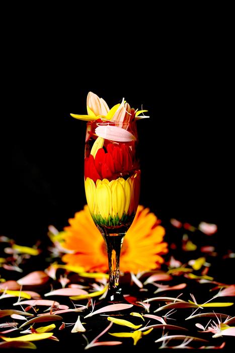 glass glass with a cocktail of flowers