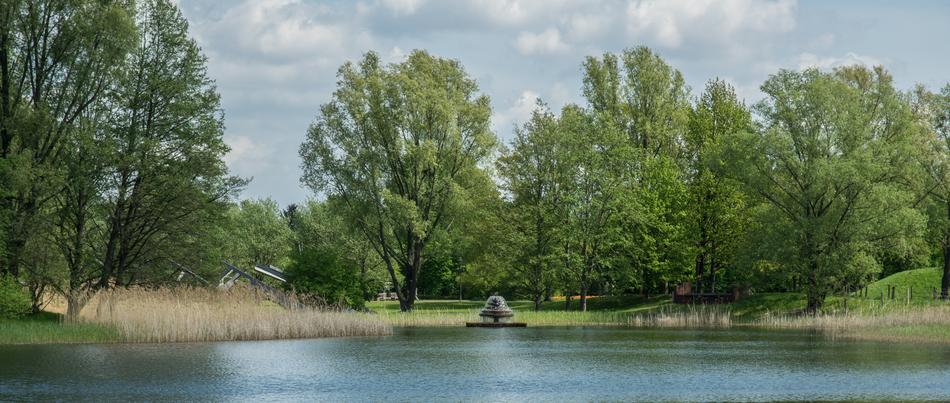 Nature Waters Tree