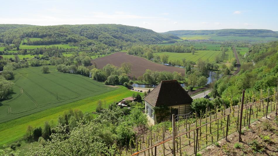 Nature Landscape Agriculture