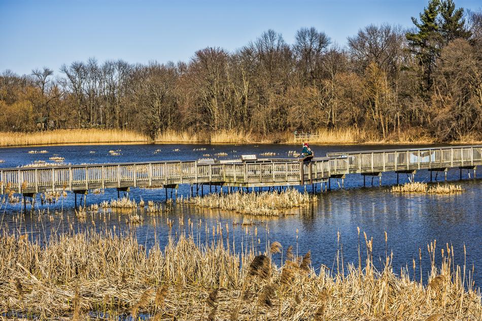 Bridge on Water Nature in Pennsylvania