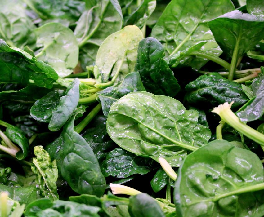 fresh spinach leaves