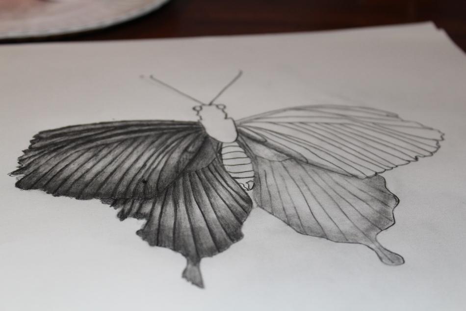 Wing Nature