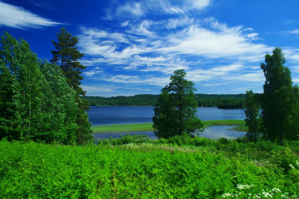 Sweden Nature