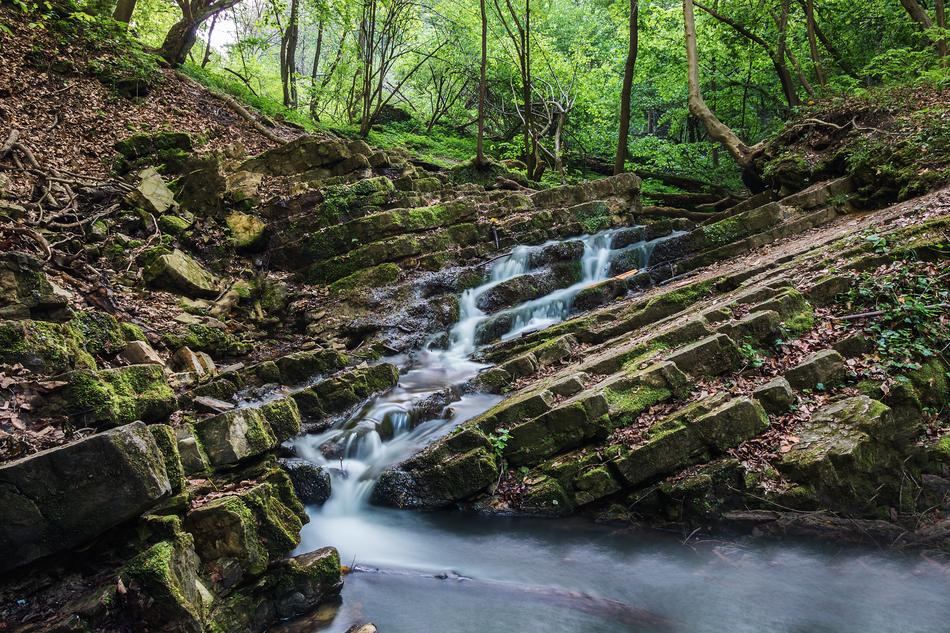 Forest Waterfall River view