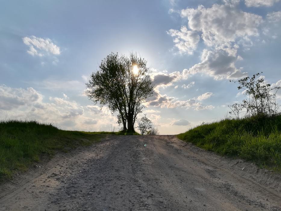 Nature Landscape Panoramic