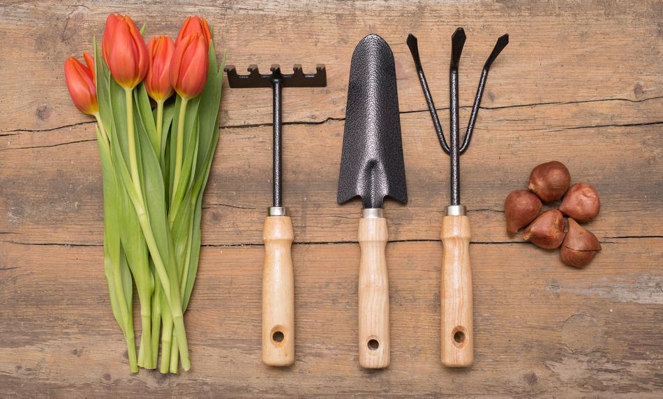 Garden Gardening Flower Planting