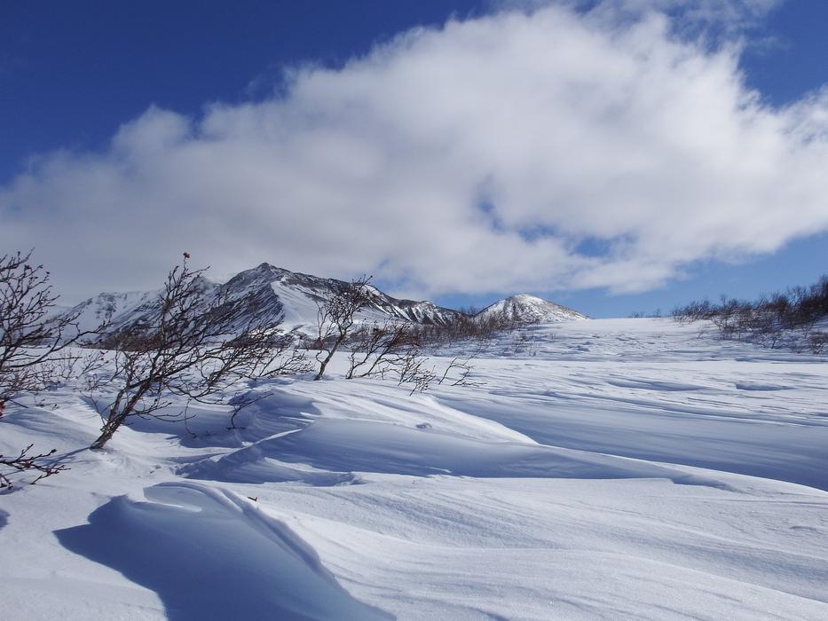 Winter Snow Cold