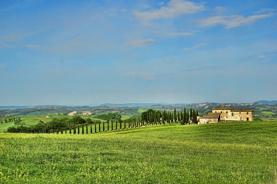 Agriculture Nature Panorama