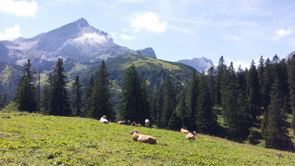 Mountain Nature Landscape