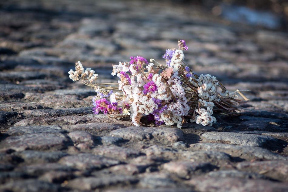 Nature Outdoors Macadam