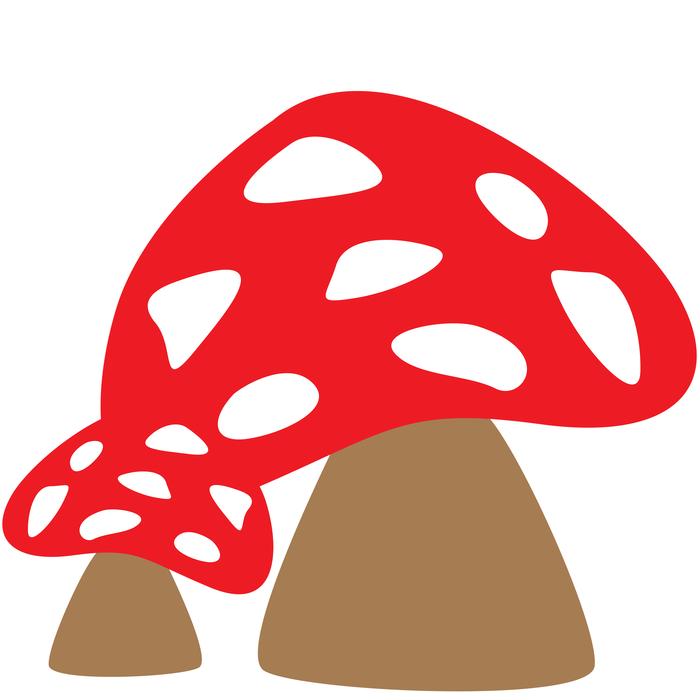 mushrooms tree fungus forest