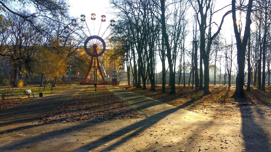Wheel Amusement Swing