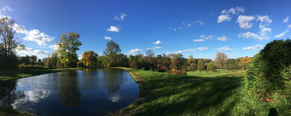 autumn autumn weather autumn gold