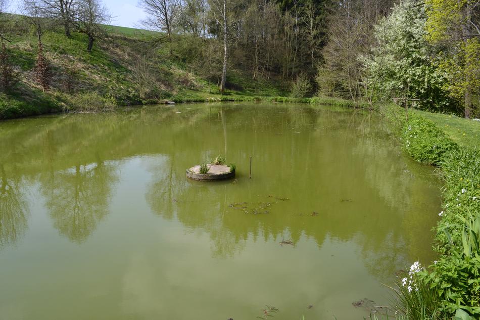 Waters River Reflection