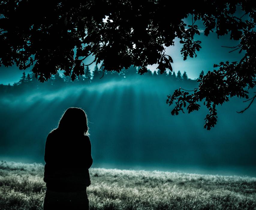 the girl in the blue forest