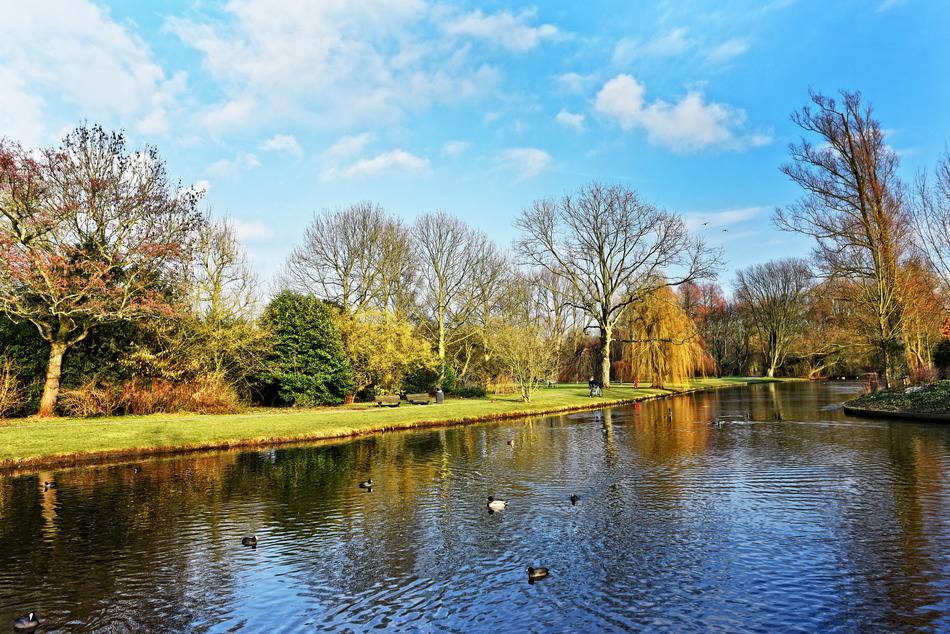 Pond Water Lake