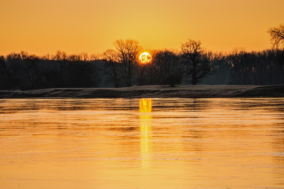 Sunrise River Trees