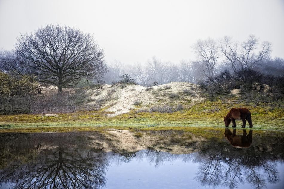 Nature Water Landscape
