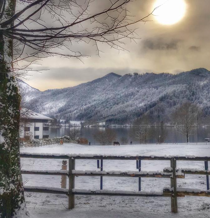 Snow Nature Winter