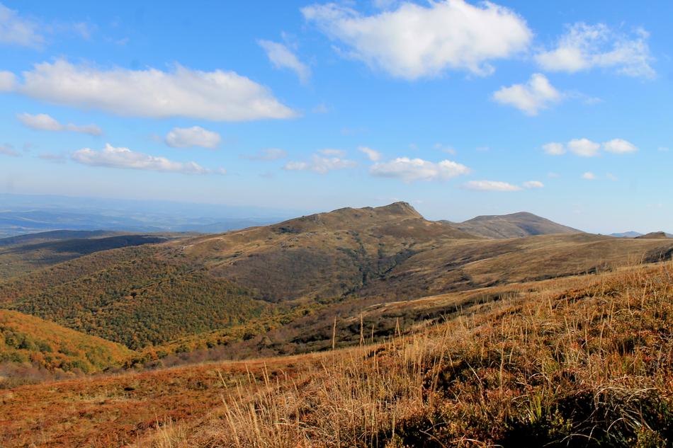 Bieszczady Autumn Beech Berdo