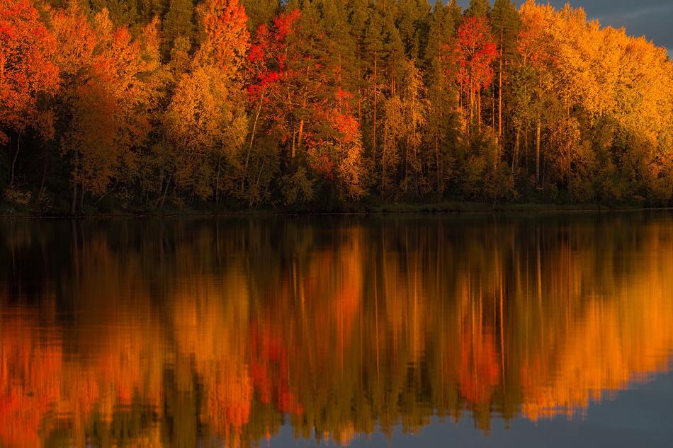 River Autumn
