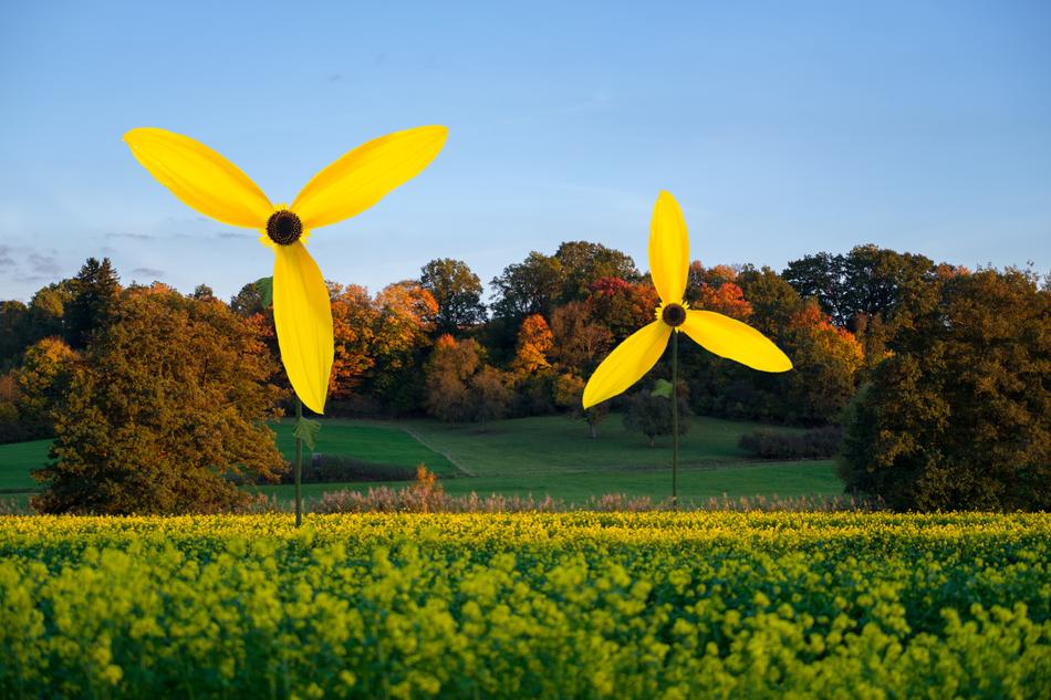 Pinwheel Wind Power Energy