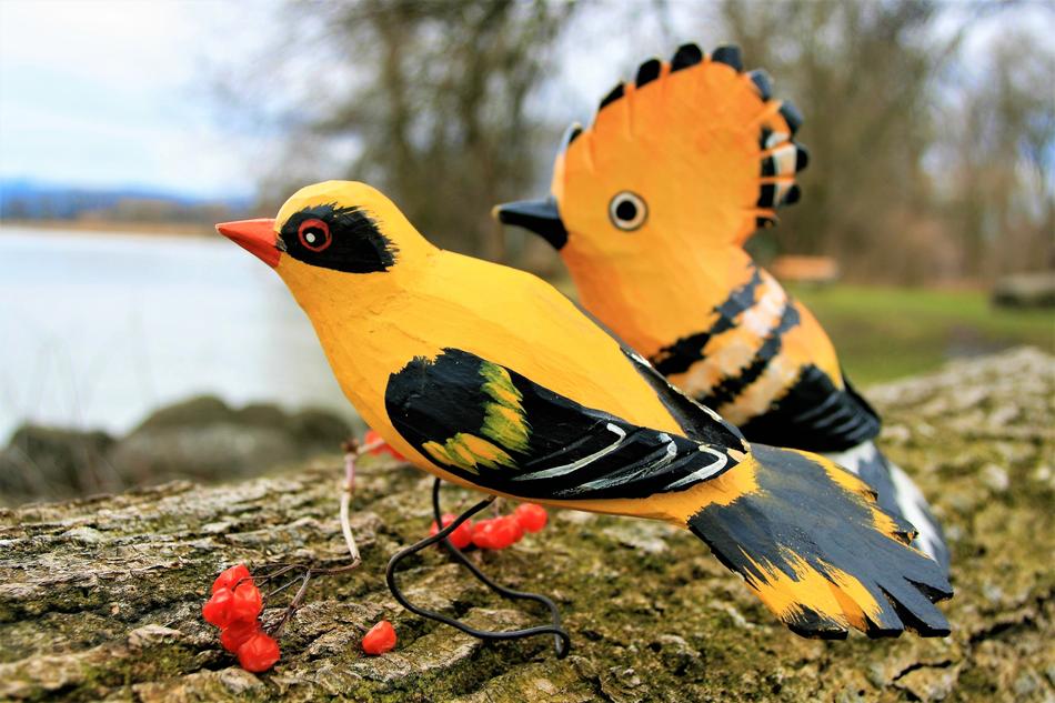 Birds Wooden Para