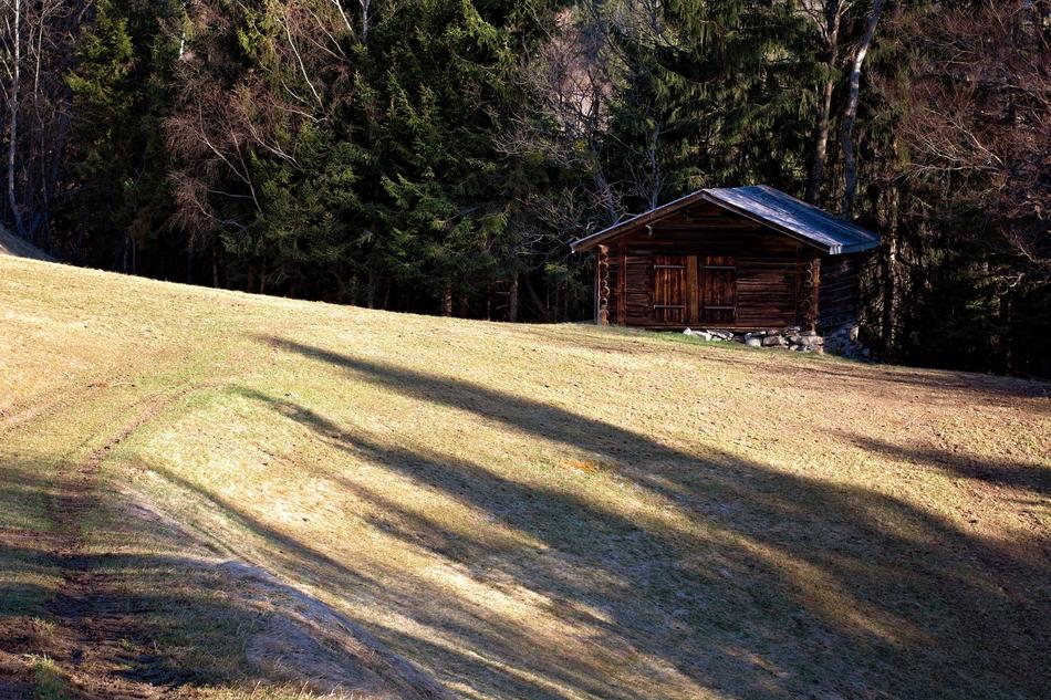 Hut Log Cabin Meadow