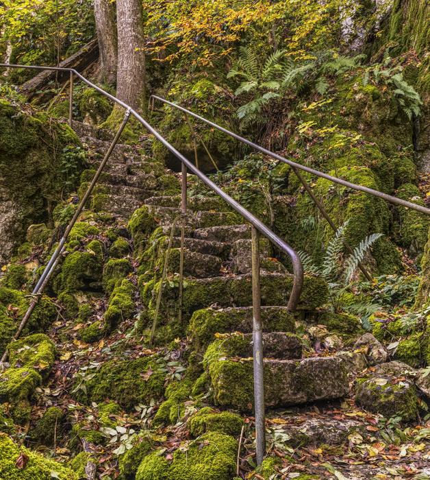 Stairs Overgrown Old