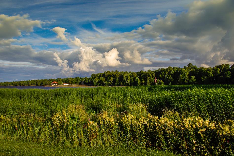 Panoramic Nature Sky