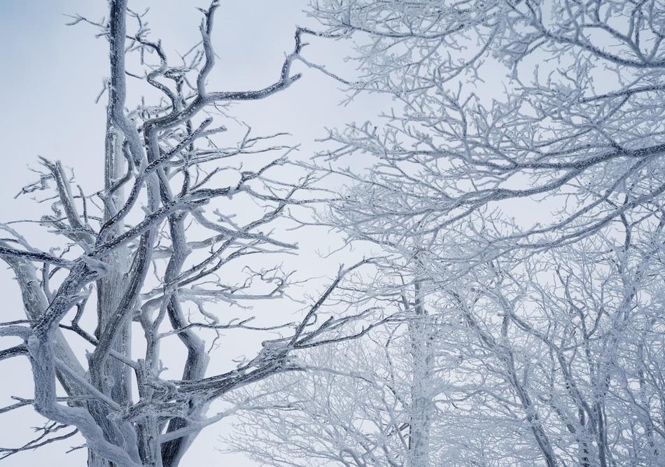 winter weather is beautiful