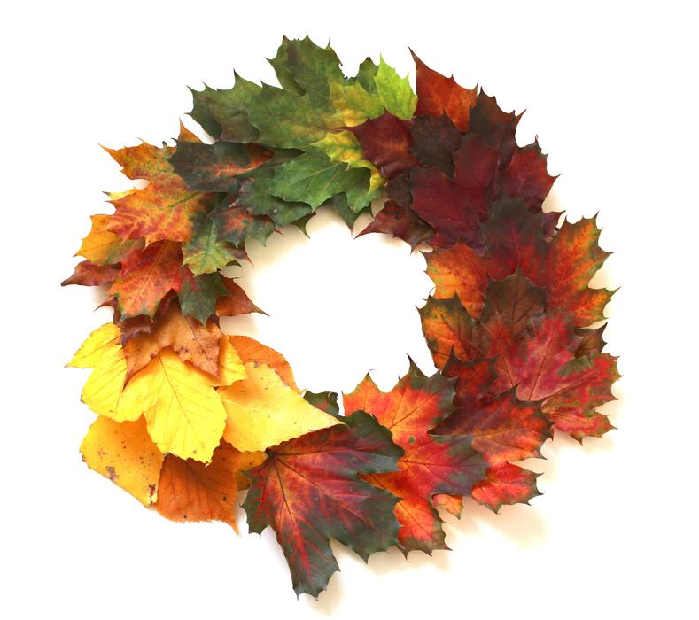 beautiful wreath with autumn leaves