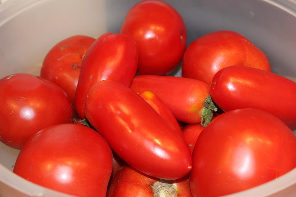 fresh tomatoes in a plate