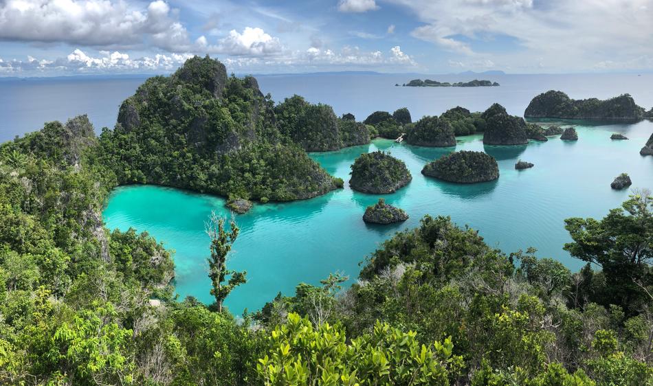 Bay Nature