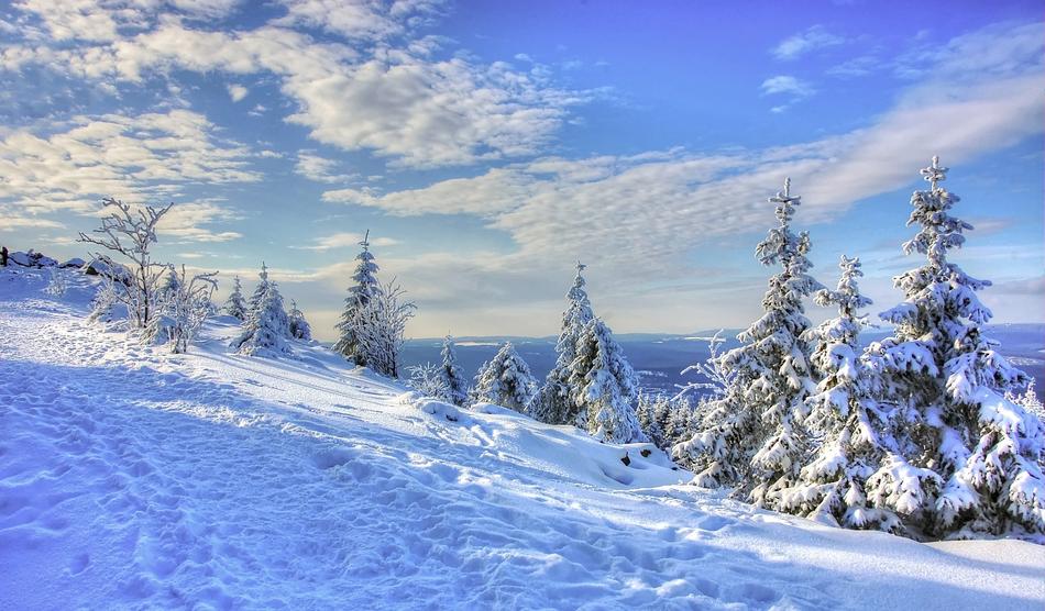 Snow Winter Cold