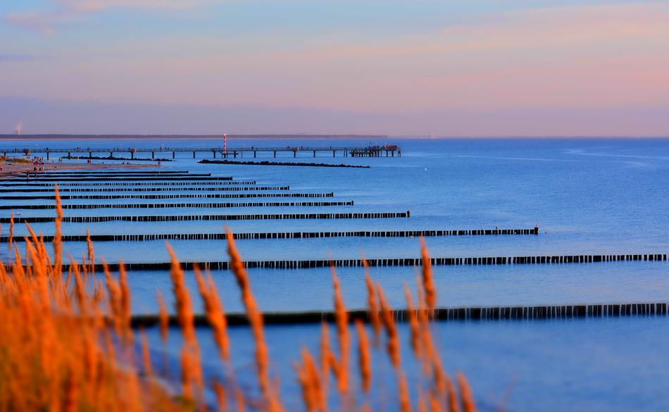 Waters Sea Reflection