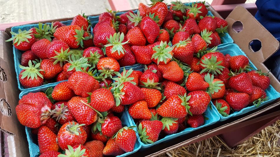 fresh strawberries in a box
