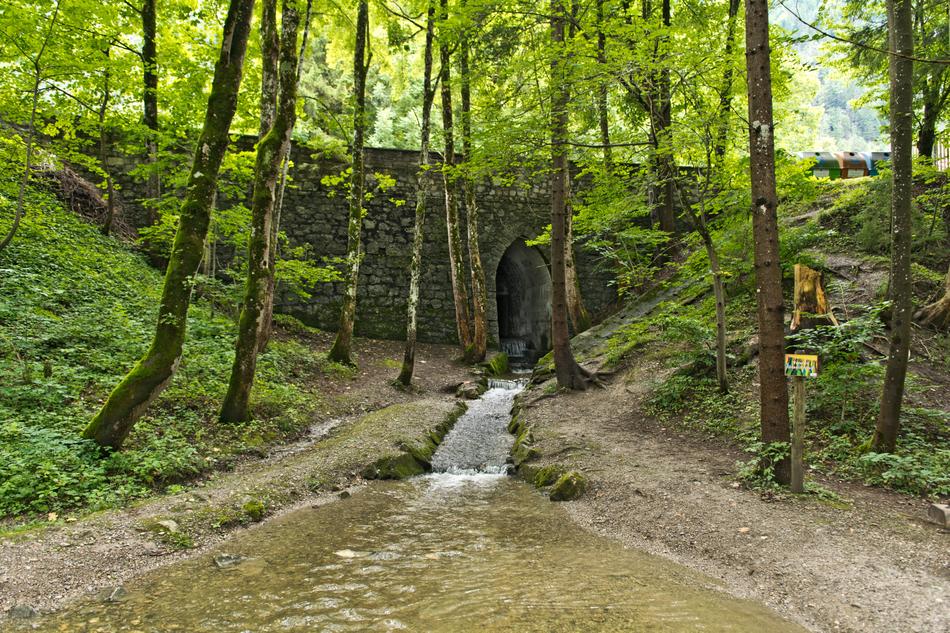 Wood Landscape Nature