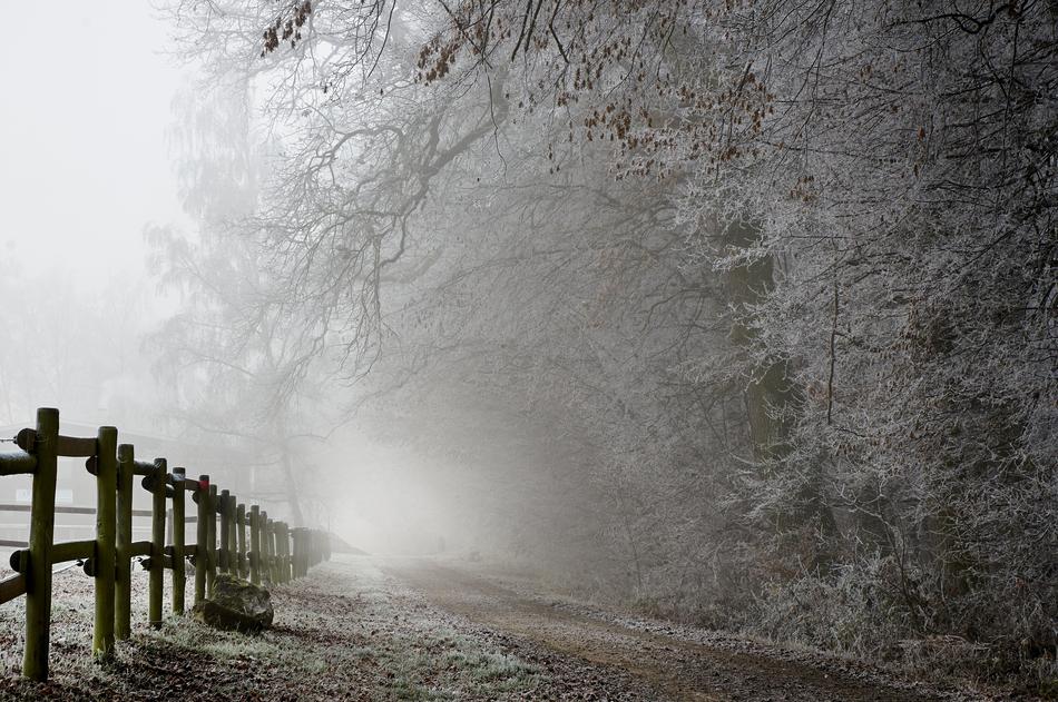Hoarfrost Winter Frost