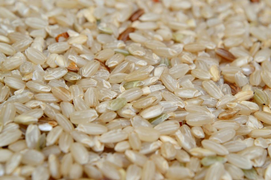dried rice grains