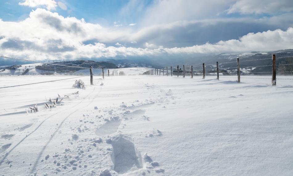 snow road morning
