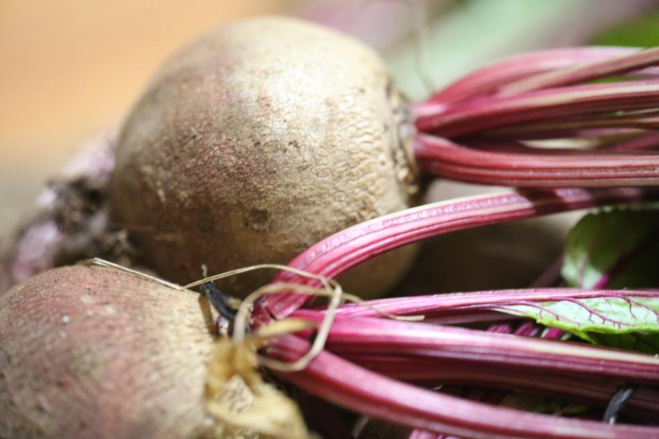 fresh root vegetable