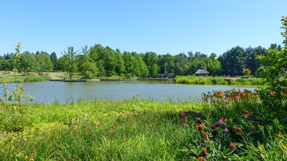 Nature Waters Landscape