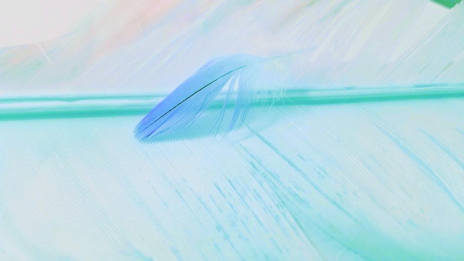 Abstract Desktop Nature