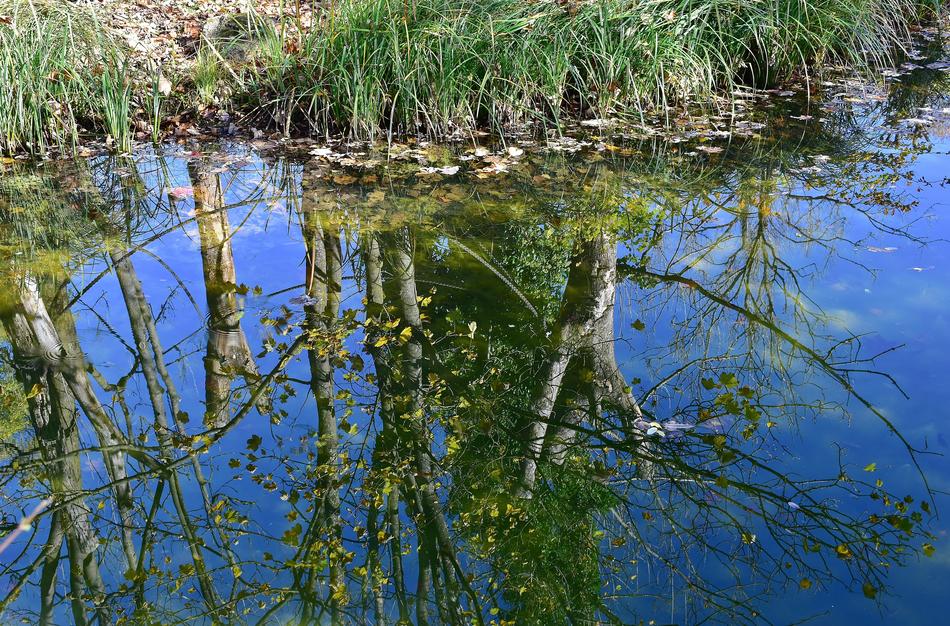 Water Mirroring River
