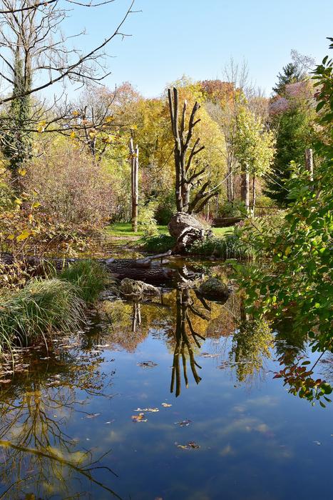 The lake in the trees is beautiful