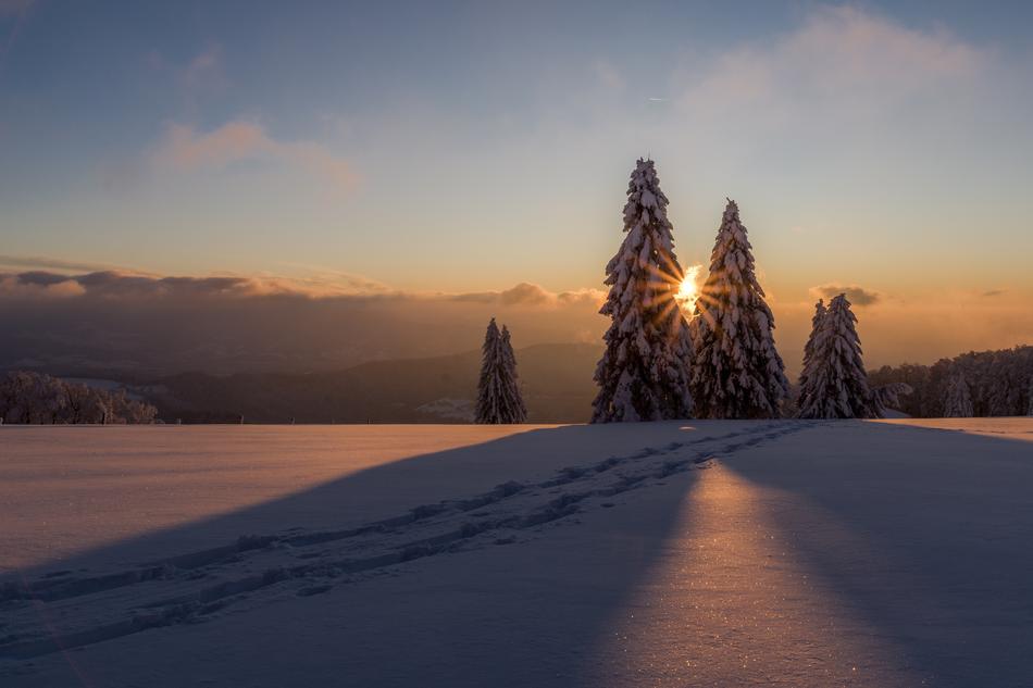 Winter Snow Wintry